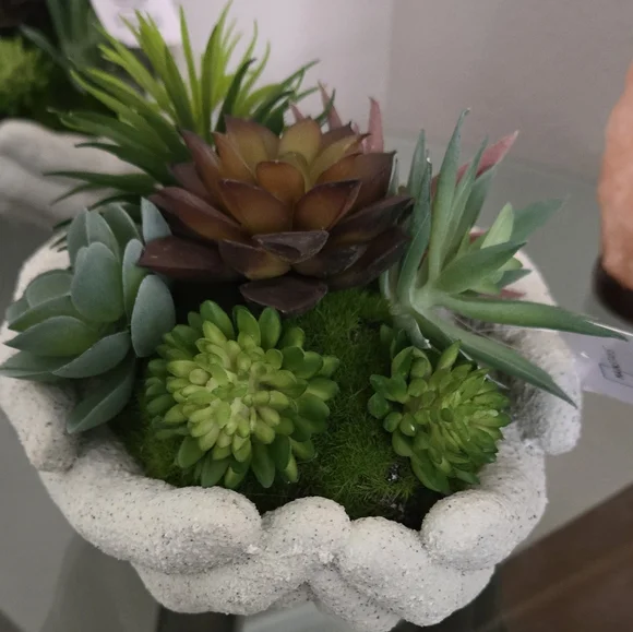 Succulents decorations artificial - Picture 1 of 3